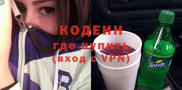 соль ск Вяземский