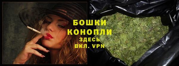 соль ск Вяземский