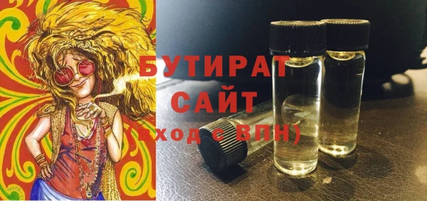 индика Тихвин