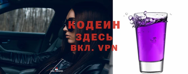 соль ск Вяземский