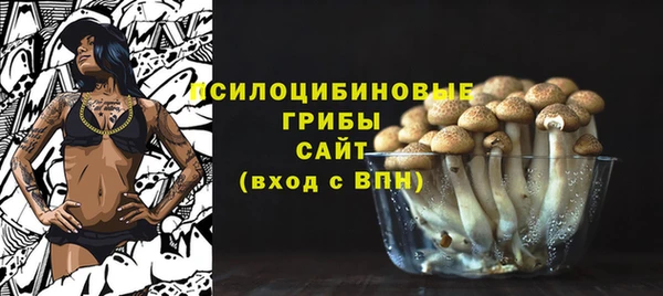 соль ск Вяземский