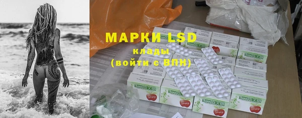 соль ск Вяземский