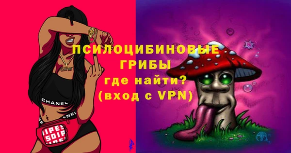 соль ск Вяземский
